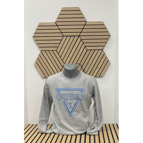 SWEAT GUESS